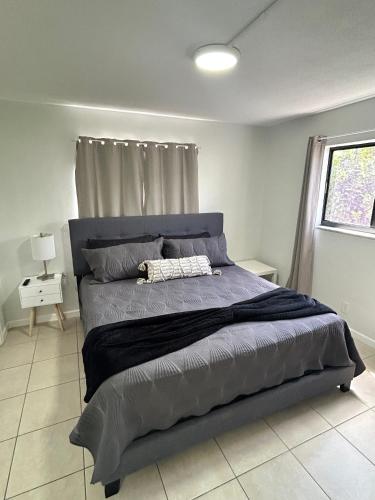 Apartment in Hollywood close to shops & beach 110 in Hollywood, USA