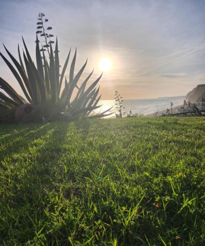 Villa Esmeralda - image 11