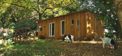 Gîte dans ancien corps de ferme à 5mn de Pompadour - Accommodation - Troche