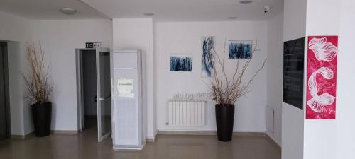 Art Studio Borovets Semiramida