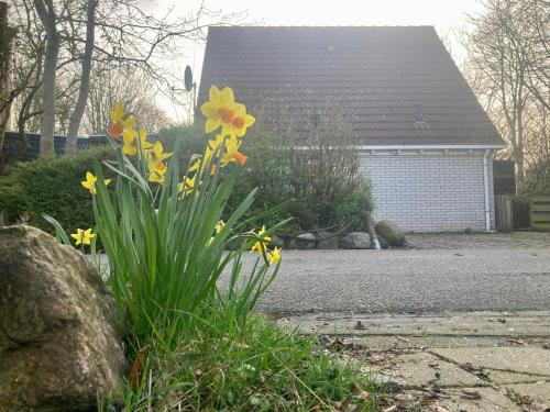  Holiday home - 8 persons - with sauna at the Lauwerslake near Wadden Sea in Oostmahorn
