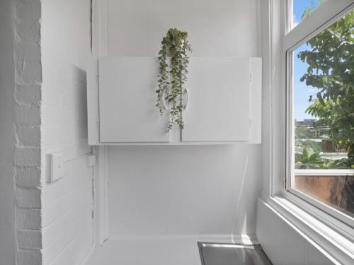 VENUS Potts Point - FEMALE ONLY HOSTEL - Long stay negotiable - image 7