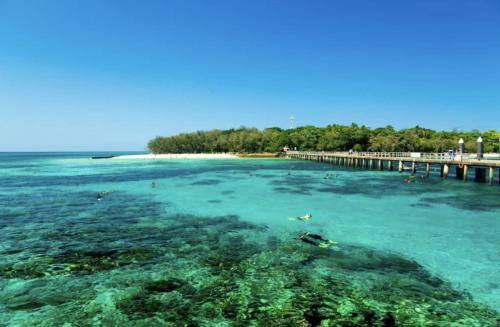 Little Drifter Cairns  in Cairns