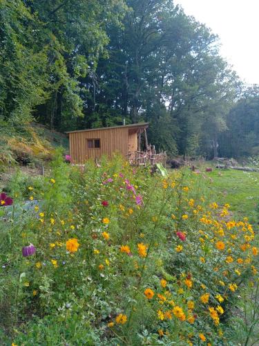 Gîte nature Au pied des hêtres