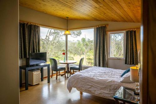 Volcano Inn Bed n Breakfast - 전망