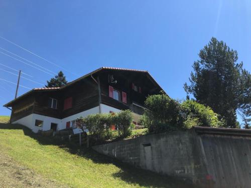 Studio Chalet Sunnehöckli