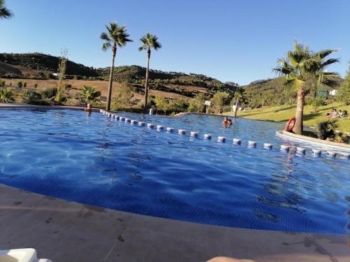 Навколишнє середовище, Superbe appartement neuf en résidence avec piscine (Superbe appartement neuf en residence avec piscine) in Cabo Negro