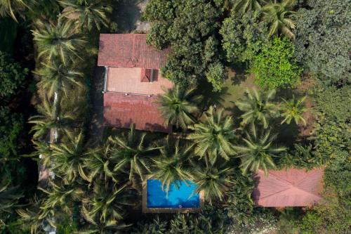 StayVista at Shades of Nature - The Hidden gem