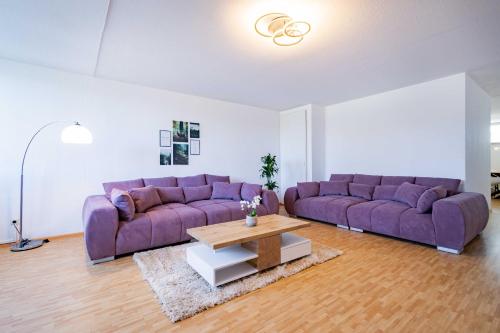 Kim Fewo 2 - Apartment - Emmendingen