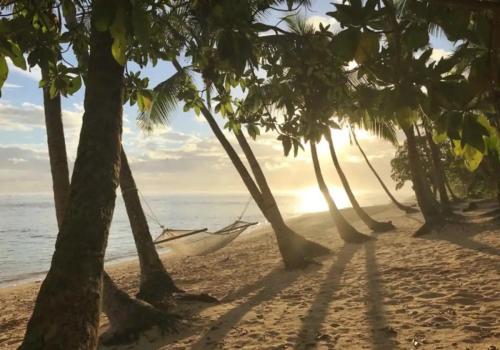 جولد كوست إن (Gold Coast Inn ) in Nanuya Lailai Island