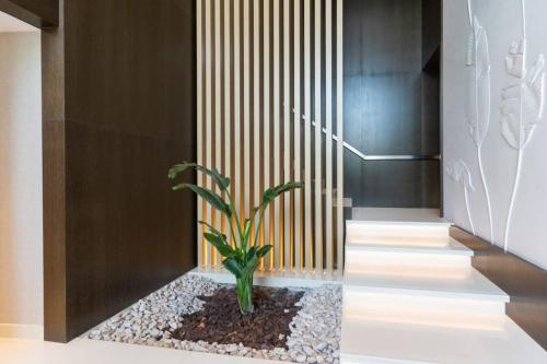 Upgraded Banyan Tree 2 Bed in JLT - image 4