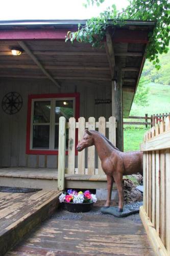 Horse Shoe Cottage: access to the bison ranch in Clyde, USA