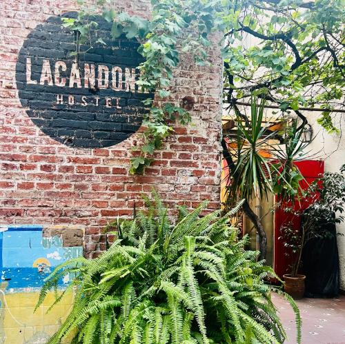 Lacandona Hostel