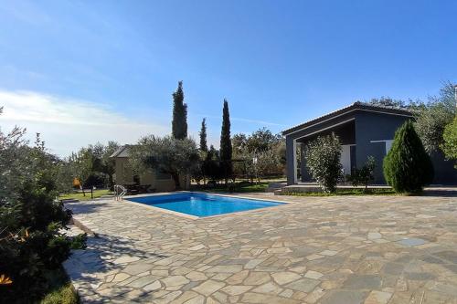 Socrates Organic Village - Wild Olive - image 6