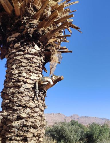 Le Retour au calme Maison d'hôtes Le Retour au calme Maison d'hôtes