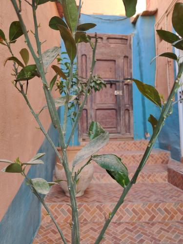 Le Retour au calme Maison d'hôtes Le Retour au calme Maison d'hôtes