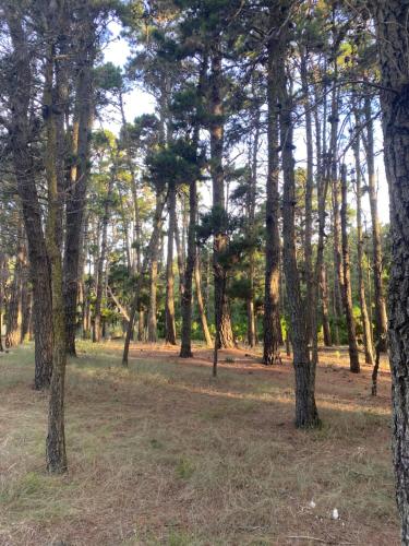 BOSQUE LIBERTAD Casa Planta Baja in Mar de las Pampas