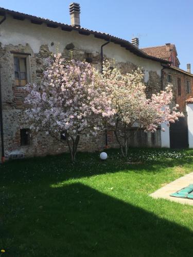 View, Palazzo Rosso in Cuneo