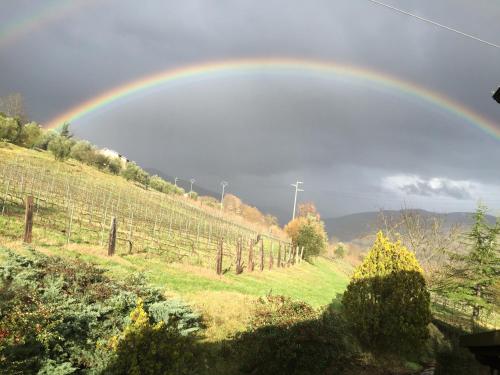 Agriturismo Il Bardellino