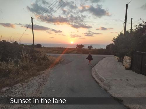 Akamas Lookout, Peyia (Foto 8)