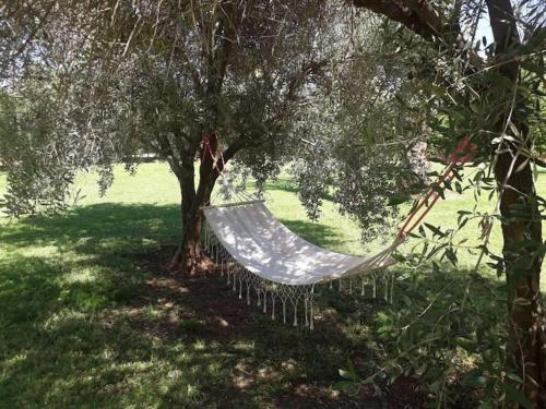 Dar Victoire Dar Victoire