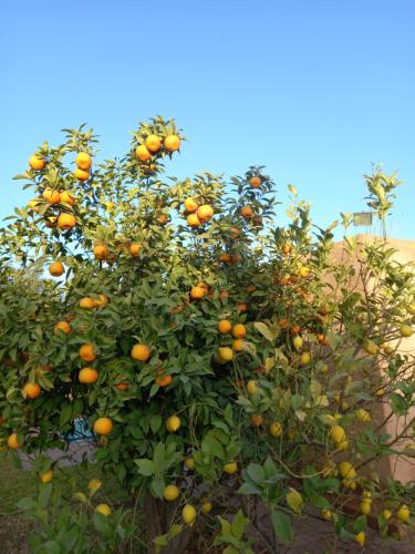 Dar Victoire Dar Victoire