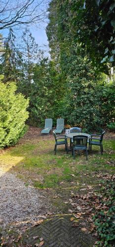 Garden, Dennenhuis in Vaassen