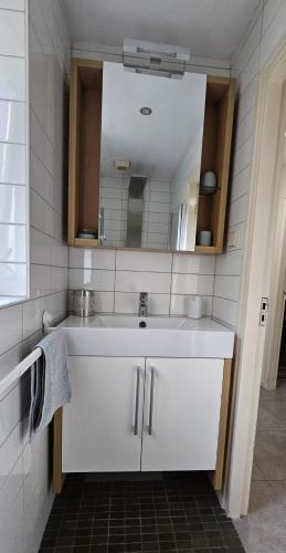Bathroom, Dennenhuis in Vaassen