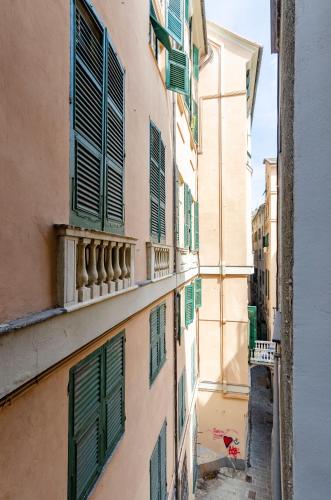Castelli's Apartments CAMPO 9, Janov (fotografie 7)