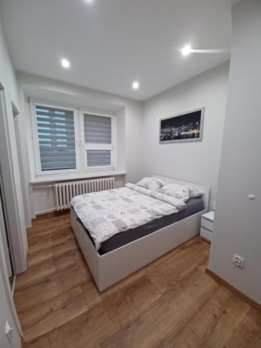 Apartament Staszica
