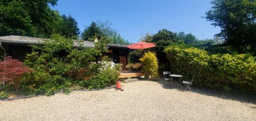 Chalet en pleine nature au bord d'un étang - Calorguen