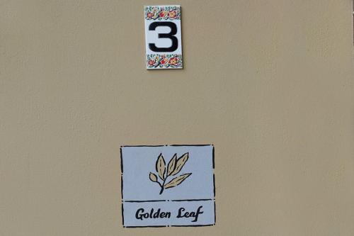 Socrates Organic Village - Wild Olive - image 11