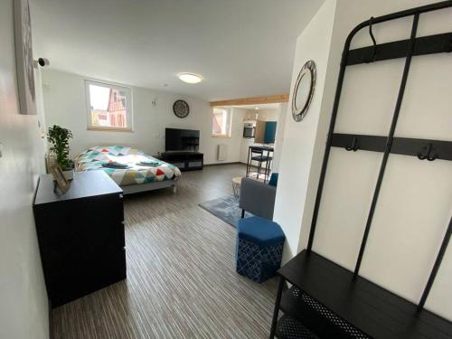 Studio lumineux, à 2 minutes de Colmar - Location saisonnière - Horbourg-Wihr