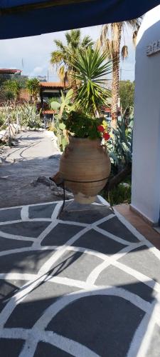 Kert, Kynosoura's sea view in Spithari