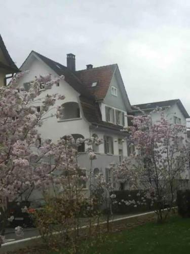 外部景觀, Loft Apartment in Central Zug in 蘇格