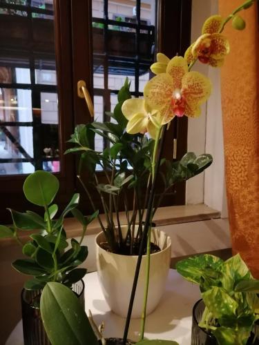 共用Lounge/電視區