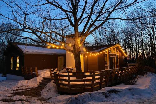 Chestnut Tree Lodge - Modern Wooded Escape thumb 3