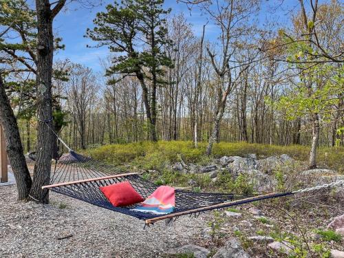 Skypine Lodge - Log Lodge Atop the World