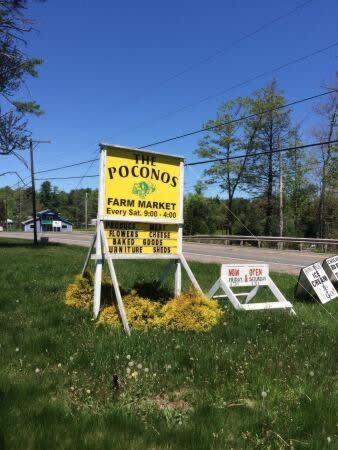 Skypine Lodge - Log Lodge Atop the World