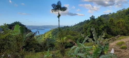 Finca Del Cielo