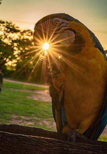 旧金山庄园宾馆