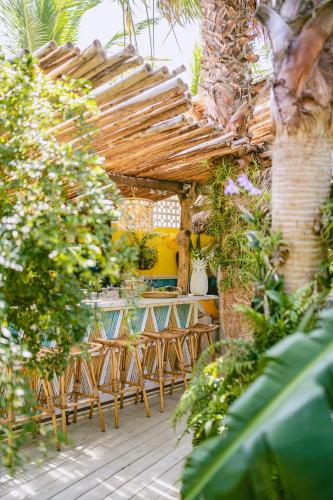 533875384 Boardwalk Boutique Hotel Aruba - Adults Only