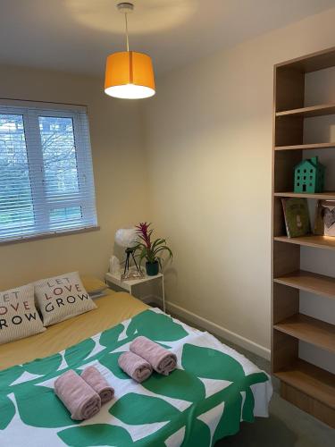 Stunning Flat Close to Regents Park and Euston Station!, Londýn (fotografie 6)