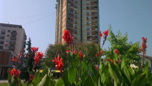 . Hotel Konaciste Trstenik