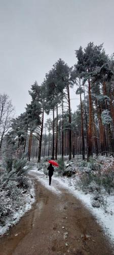Casa Rural El Castaño (Casa Rural El Castano) in Navalonguilla