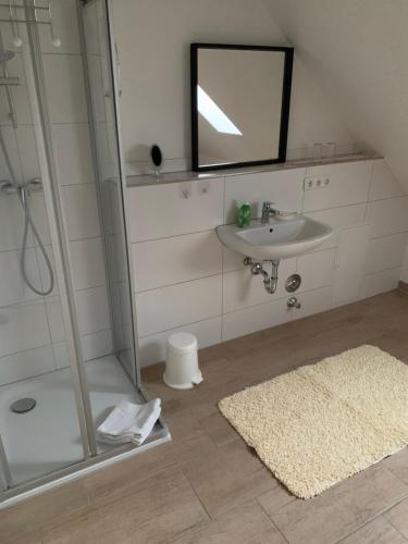 Shower, Ferienwohnung, 3 Zimmer, 100 qm, Betten trennbar 2. Stock in Karben
