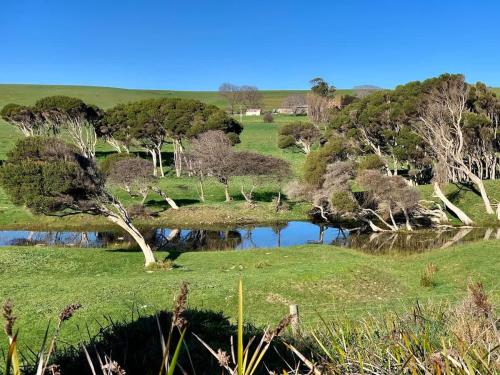 Beach House with Sea Views and a Large Backyard photo 3