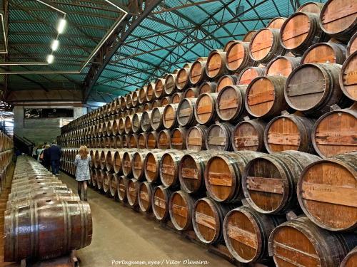 Villa Laranja-Limao - NEW