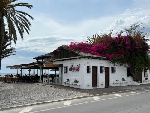 Casa Quijote Casa Quijote