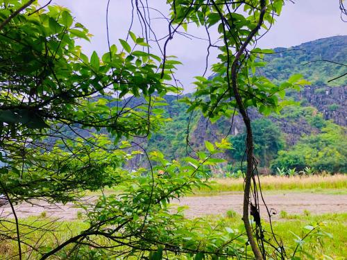 Chay Moutain Valley Bugalow